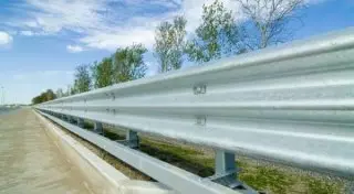 Общественники предложили построить на дорогах ограждения для животных