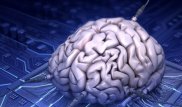 Искусственный интеллект не смог справиться с детским тестом на IQ