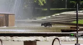 Жаркую погоду в Казахстане в выходные прогнозируют синоптики