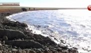 Жители села в Акмолинской области пожаловались на навязчивых полицейских