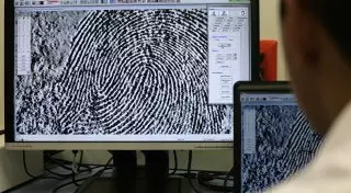 Связи внутри мозга могут заменить отпечатки пальцев - ученые