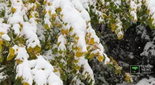 Дождь со снегом ожидаются в трех областях Казахстана