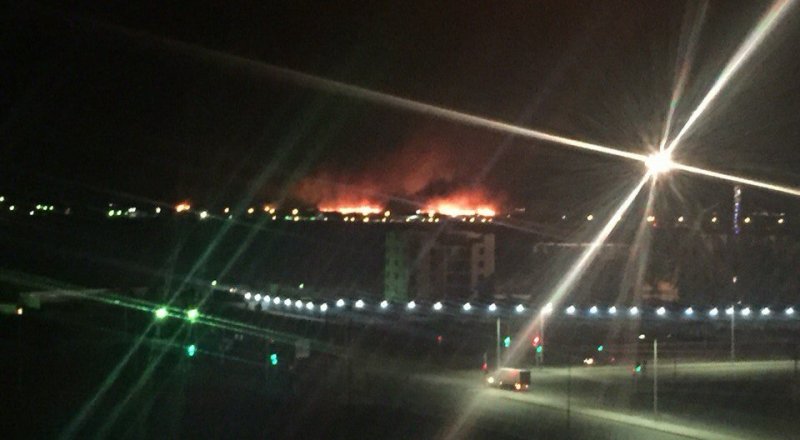 Фото ©Наталья Бондарь