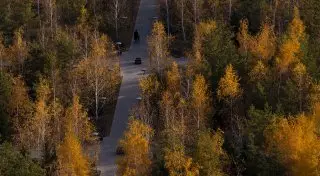 Заморозки ожидаются на юге Казахстана