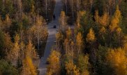 Заморозки ожидаются на юге Казахстана