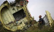 В Гааге прошел митинг за честное расследование катастрофы Boeing на Украине
