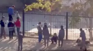 Видео издевательства детей над кроликом в Актау появилось в Сети