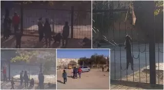 Полиция нашла детей из видеоролика с издевательством над кроликом в Актау