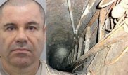 Ручная обезьяна помогла выследить знаменитого мексиканского наркобарона "Коротышку"