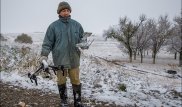 Дрон помогает пасти овец жителю Жамбылской области