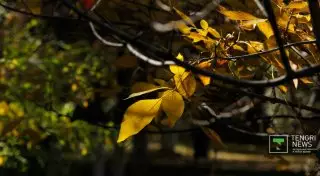 Тепло вернется в Казахстан в последнюю неделю октября