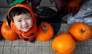Якудза извинилась за сорванный Хеллоуин