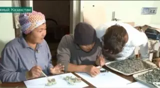 25-килограммовый клад медных монет XVII века нашли в ЮКО