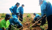 Около 12 миллионов тенге задолжал республиканский бюджет кызылординским жасылелевцам