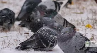 Неустойчивая погода ожидается на большей части Казахстана