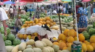 В Узбекистане определили поставщиков овощей и фруктов в РК после снятия запрета на экспорт