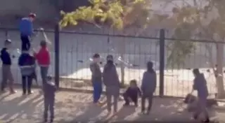 Дело об издевательстве над кроликом в Актау закрыли