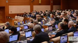 Пресс-секретарь Назарбаева прокомментировал возможность досрочных парламентских выборов