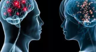 Ученые назвали преимущества "женского" и "мужского" типов мозга