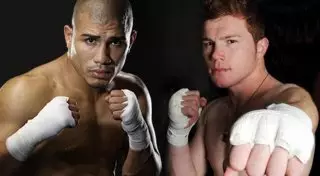 Не могу дождаться боя Котто - Альварес - Головкин