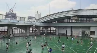 Школьные дворы разных cтран