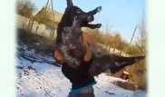 Издевавшегося над ослом парня задержали в Алматинской области