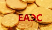 Единая валюта ЕАЭС может называться евраз - депутат Госдумы