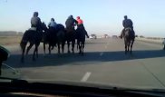 Видео с кокпаром на трассе изучают в полиции Алматинской области