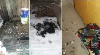 Совершивший самоподжог парень скончался в Семее