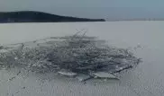 В Костанайской области провалились под лед и утонули четверо мужчин