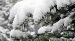 20-градусные морозы сохранятся на севере Казахстана