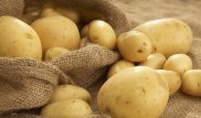 В ВКО голодные воры крадут мясо и картошку