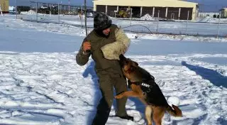 Первых собак для поиска мин подготовили в Минобороны Казахстана