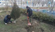 Издевавшиеся над волчатами в Жамбылской области отработали положенные 150 часов наказания
