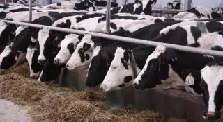 Российские эксперты предрекли провал госпрограммы в Казахстане