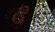 Названо место установки главной новогодней елки в Алматы