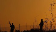 Около 10 тысяч выходцев из СНГ воюют на стороне ДАИШ (ИГ)