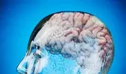 Ученые назвали самый простой и быстрый способ стать умнее