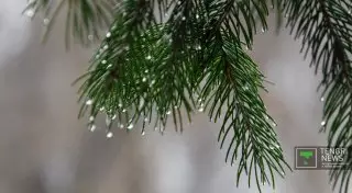 Аномальное тепло прогнозируют синоптики в Казахстане 24-26 ноября