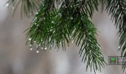 Аномальное тепло прогнозируют синоптики в Казахстане 24-26 ноября