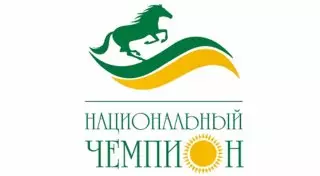 "Национальные чемпионы" Казахстана при торговле с другими странами отказались от доллара