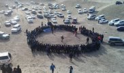 Собачьи бои в Мангистауской области проводятся легально