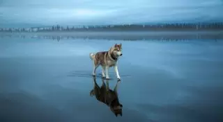 15 фотографий, на которых реальность круче фотошопа