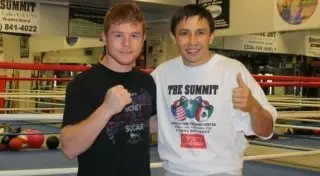 Головкину и Альваресу предложили провести по одному бою перед очной встречей