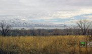 Теплое начало декабря в Казахстане обещают синоптики