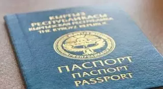 Пограничники Кыргызстана помогли вылететь из страны жене казахстанского террориста