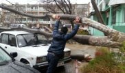 В Актау ливень повалил деревья и вызвал перебои с электричеством