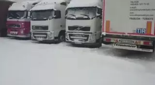 Российская таможня пообещала пропустить казахстанские фуры с турецким грузом - Ергожин