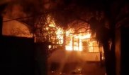 Около 100 голубей погибли при пожаре в Алматы