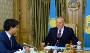 Президент принял председателя правления холдинга "Байтерек"